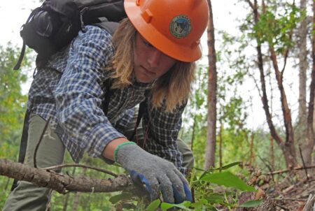 Forest Conservation Technician