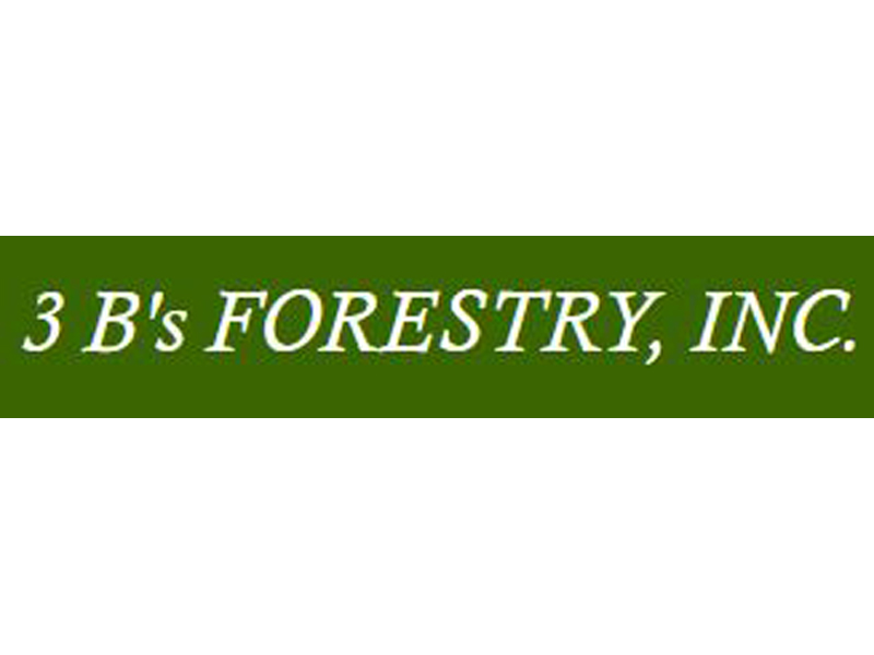 3-Bs-Forestry-Logo